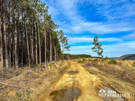 Timberland Property for sale in Le Flore County, Oklahoma