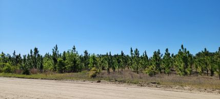 Property for sale in Bladen County, North Carolina