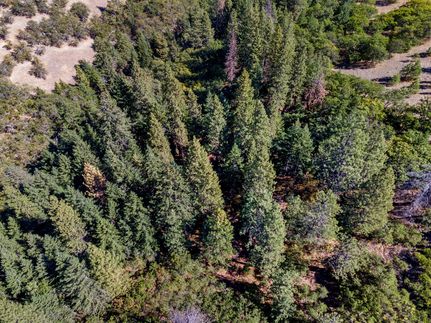Undeveloped Land for sale in Jackson County, Oregon