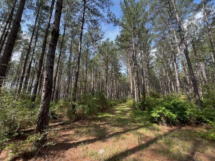 Hunting Land for sale in Holmes County, Florida