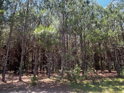 Property for sale in Geneva County, Alabama