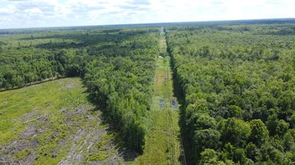 Property for sale in Colleton County, South Carolina