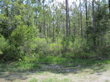 Timberland Property for sale in Bradford County, Florida