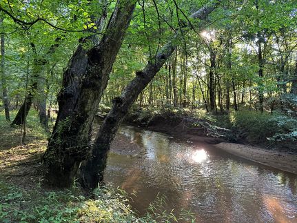 Timberland Property for sale in Abbeville County, South Carolina