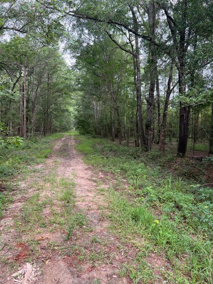 Hunting Land for sale in Sabine County, Texas