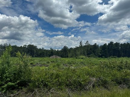 Property for sale in Union County, Florida