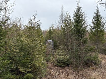 Timberland Property for sale in Shawano County, Wisconsin