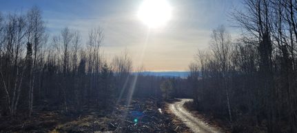 Farm Property in Hancock County, Maine