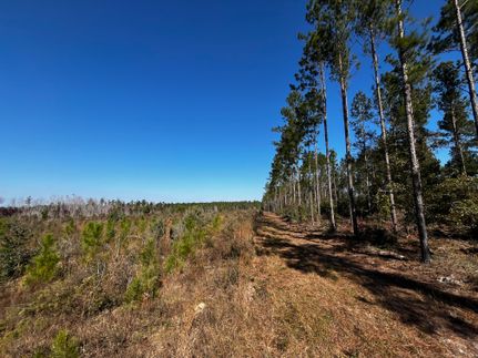 Farm Property for sale in Jackson County, Florida