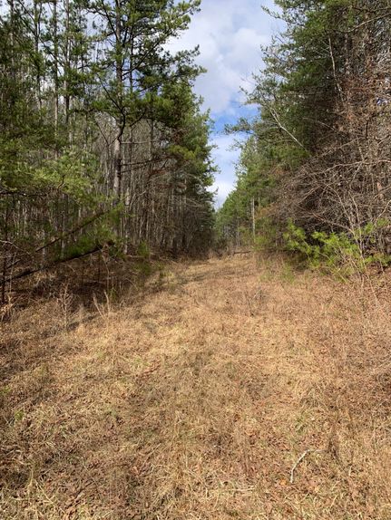 Timberland Property for sale in Morgan County, Tennessee