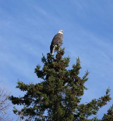 Property for sale in Aroostook County, Maine