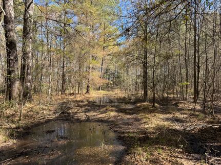 Property for sale in Colleton County, South Carolina