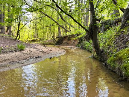 Property for sale in Chester County, South Carolina