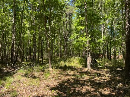 Ranch Property for sale in Colleton County, South Carolina