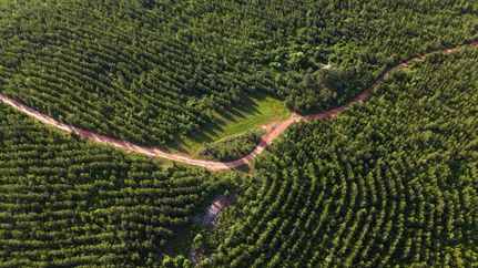 Hunting Land for sale in Jasper County, Georgia