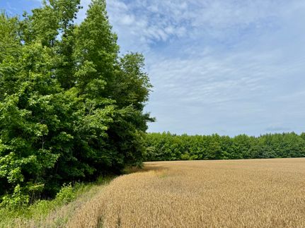 Farm Property for sale in Florence County, South Carolina