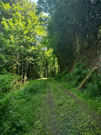 Timberland Property for sale in Clallam County, Washington