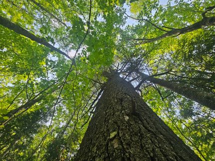 Commercial Property for sale in Penobscot County, Maine