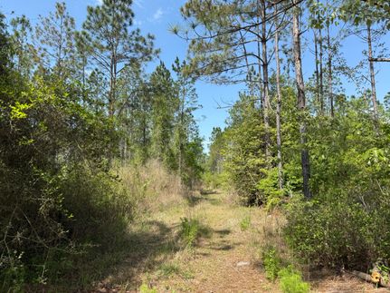 Recreational Property for sale in Holmes County, Florida