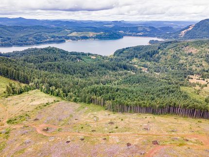 Timberland Property for sale in Lane County, Oregon