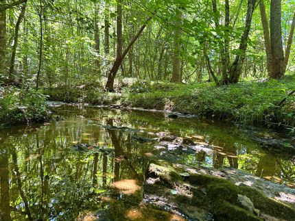Timberland Property for sale in Cherokee County, South Carolina