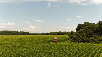 Commercial Property for sale in Phillips County, Arkansas