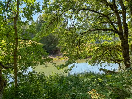 Undeveloped Land for sale in Lane County, Oregon