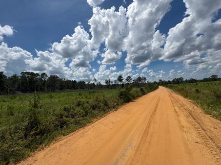 Ranch Property for sale in Screven County, Georgia