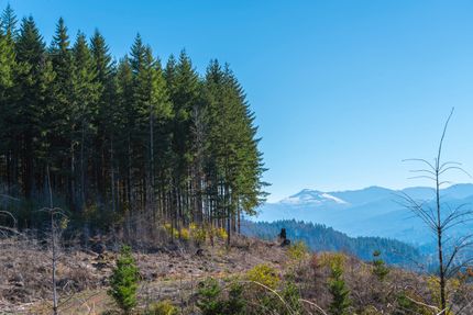 Property for sale in Marion County, Oregon