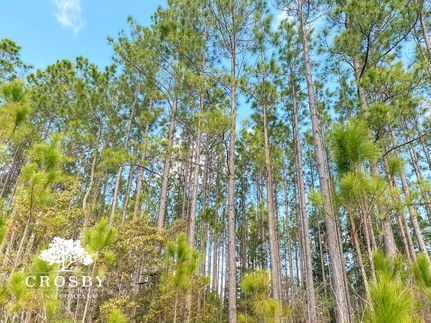 Recreational Property for sale in Long County, Georgia