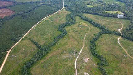 Farm Property in Johnson County, Georgia
