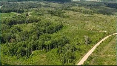 Property for sale in Carroll County, Mississippi