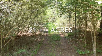 Property for sale in Blount County, Alabama