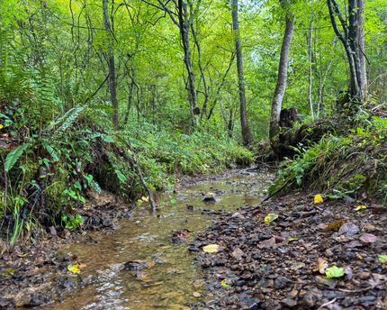 Property for sale in Scott County, Tennessee