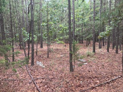 Recreational Property for sale in Le Flore County, Oklahoma