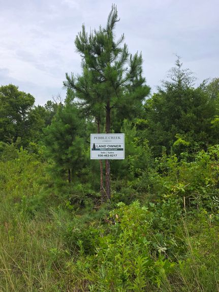 Farm Property for sale in Newton County, Texas