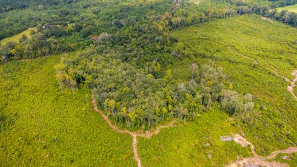 Timberland Property for sale in Madison County, Mississippi