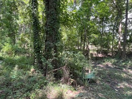 Property for sale in Catahoula Parish, Louisiana