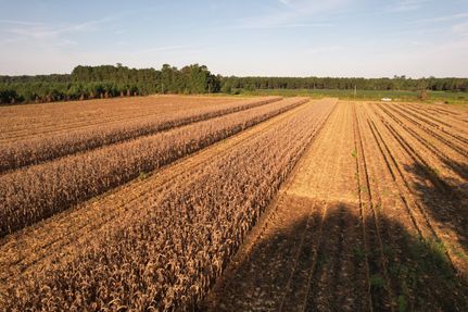 Property for sale in Williamsburg County, South Carolina