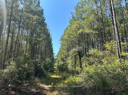 Timberland Property for sale in Washington County, Alabama