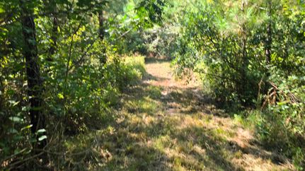 Undeveloped Land for sale in Lamar County, Mississippi