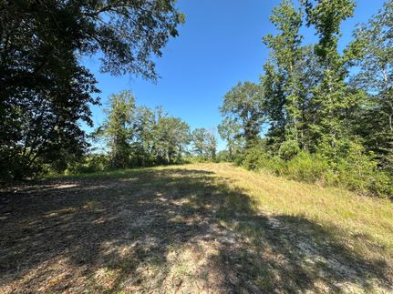 Property for sale in Washington County, Alabama