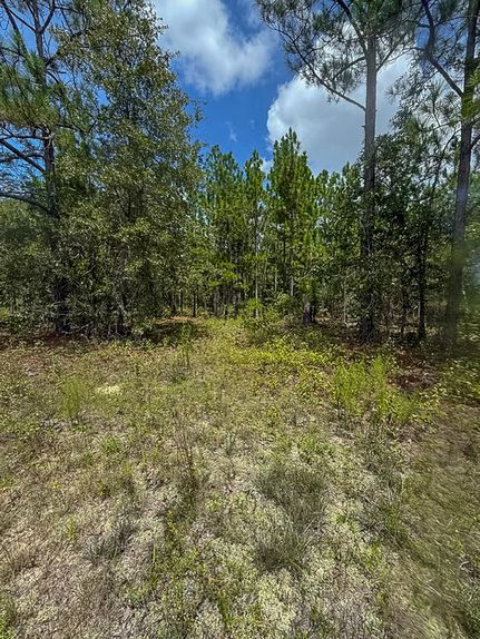 Undeveloped Land for sale in Bibb County, Georgia