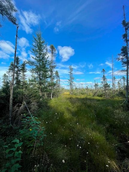 Property for sale in Lincoln County, Wisconsin