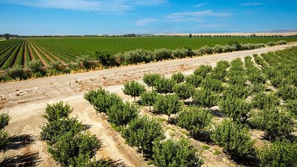 Commercial Property for sale in Yolo County, California