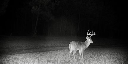 Farm Property for sale in Prentiss County, Mississippi