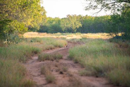 Hunting Land for sale in Atascosa County, Texas