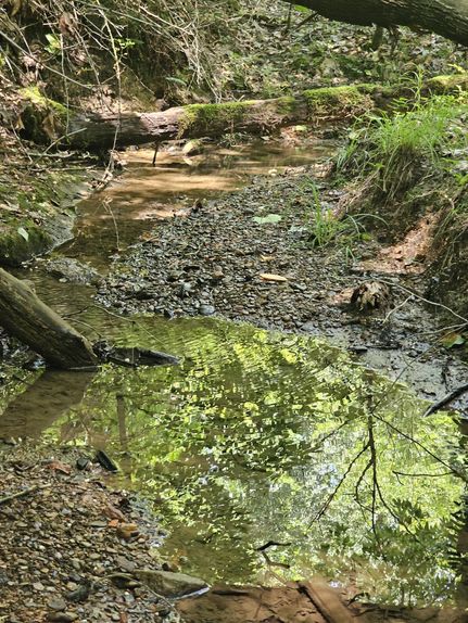 Residential Property in Fayette County, West Virginia