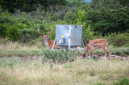 Ranch Property for sale in Real County, Texas