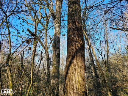 Property for sale in Jefferson County, Alabama